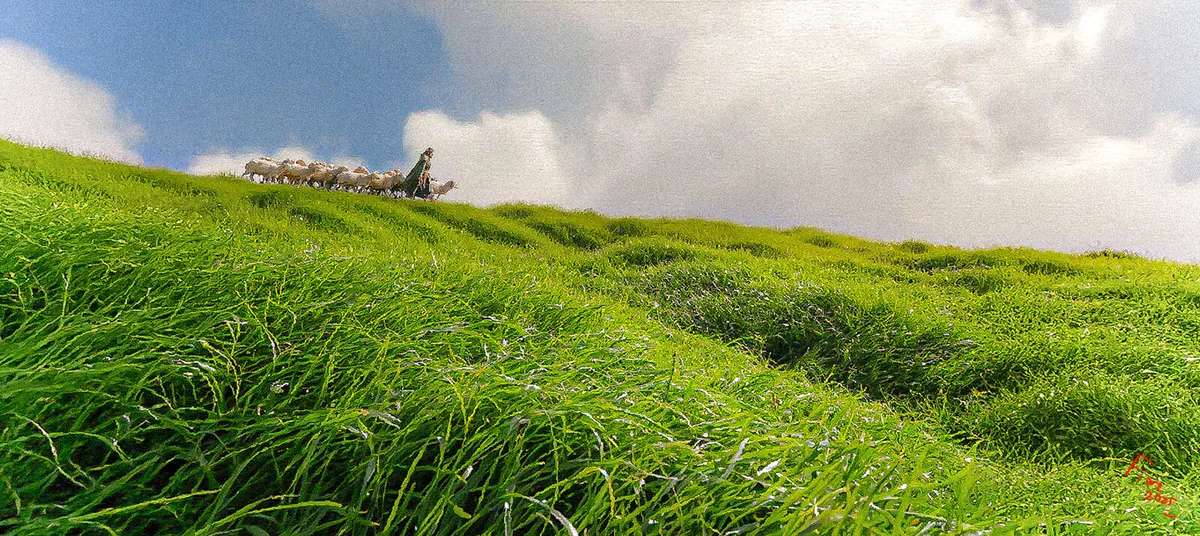 A shepherd guides a flock along the crest of a vivid green hillside beneath broad clouds