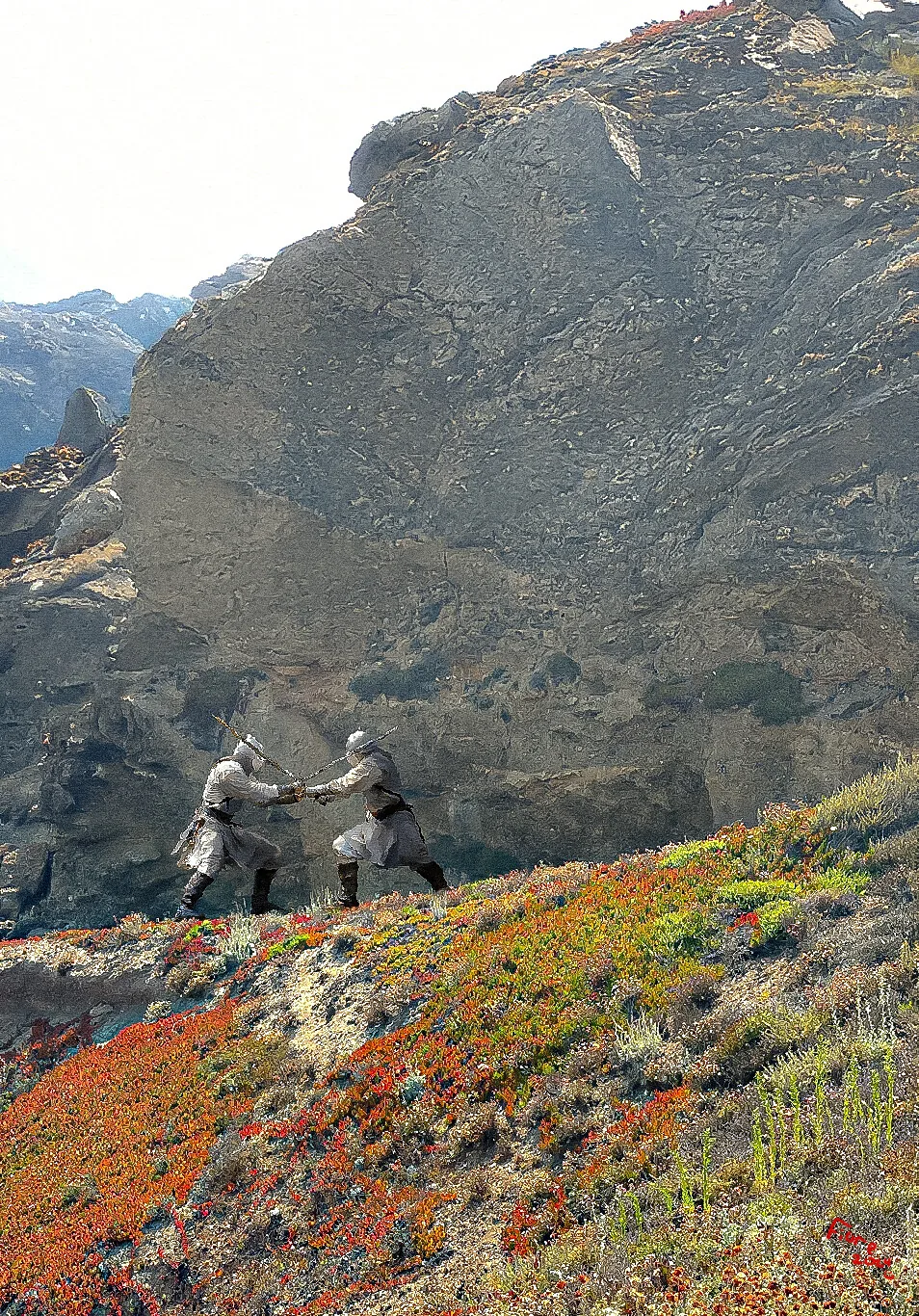 Two sword fighters cross blades on a flowered slope below a monumental rock face